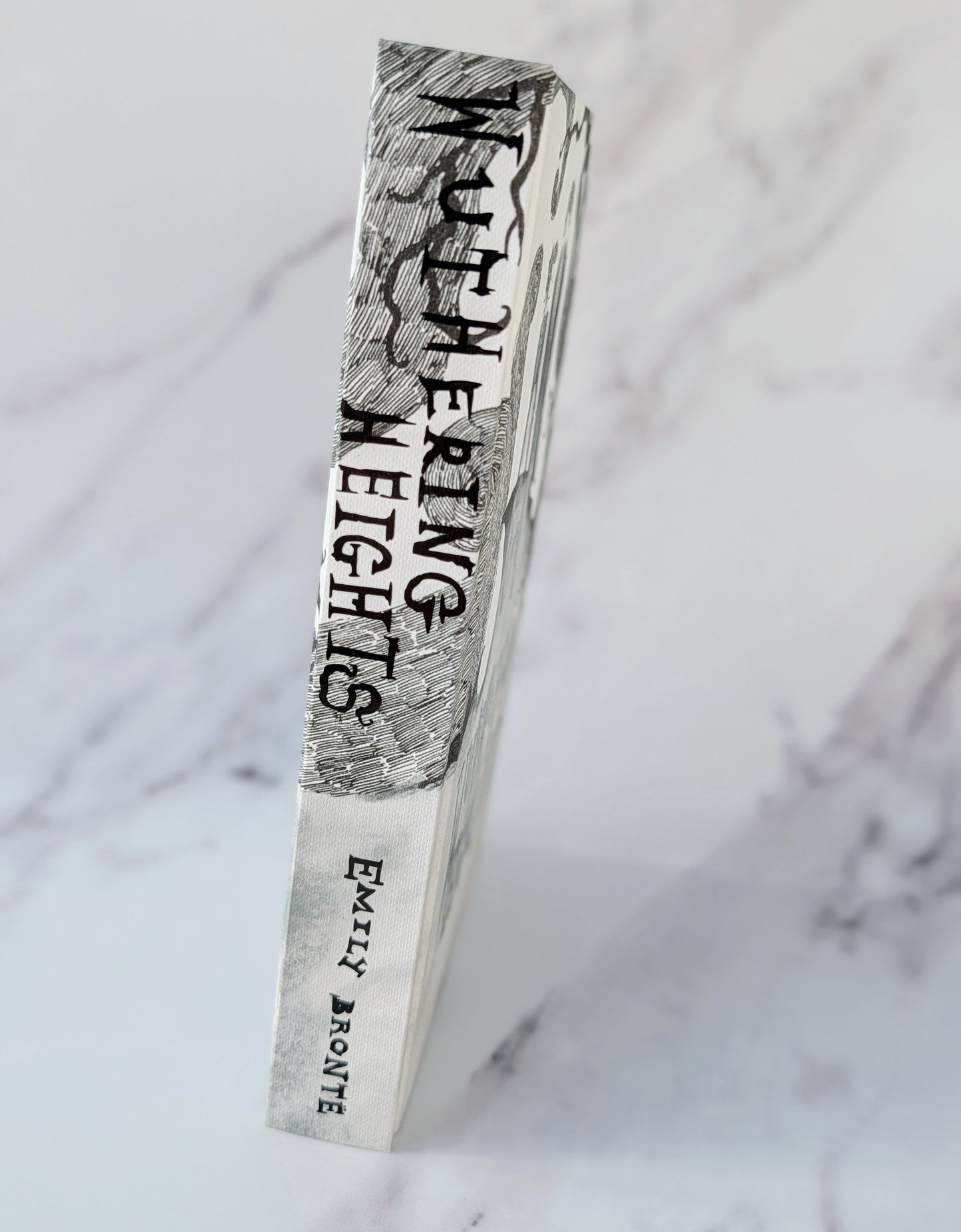 *NEW* Wuthering Heights, Frankenstein & Dracula – Gothic Monster Set